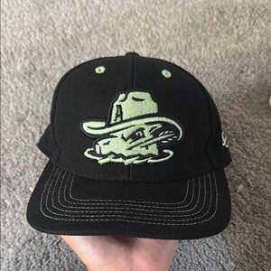 Minor League Baseball Cap-Black and Green Embroidered Cap